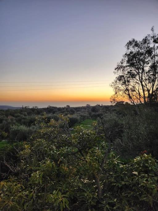 Terra E Pietre Εξοχική Κατοικία Με Πισίνα Areopoli Exteriér fotografie