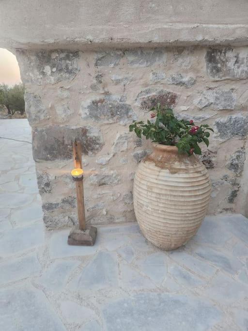 Terra E Pietre Εξοχική Κατοικία Με Πισίνα Areopoli Exteriér fotografie
