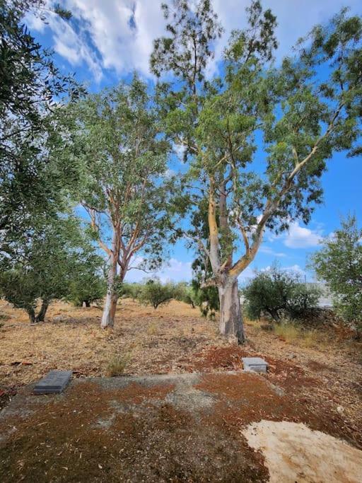 Terra E Pietre Εξοχική Κατοικία Με Πισίνα Areopoli Exteriér fotografie