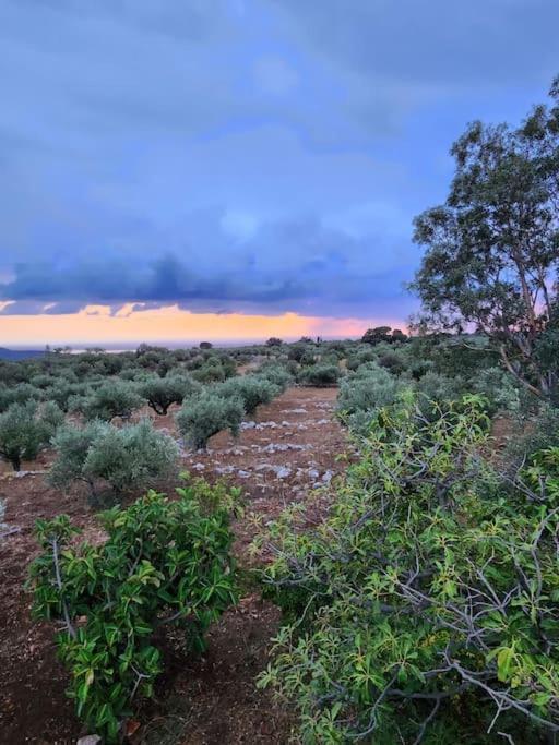 Terra E Pietre Εξοχική Κατοικία Με Πισίνα Areopoli Exteriér fotografie