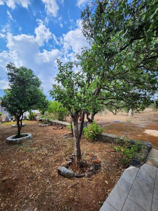 Terra E Pietre Εξοχική Κατοικία Με Πισίνα Areopoli Exteriér fotografie