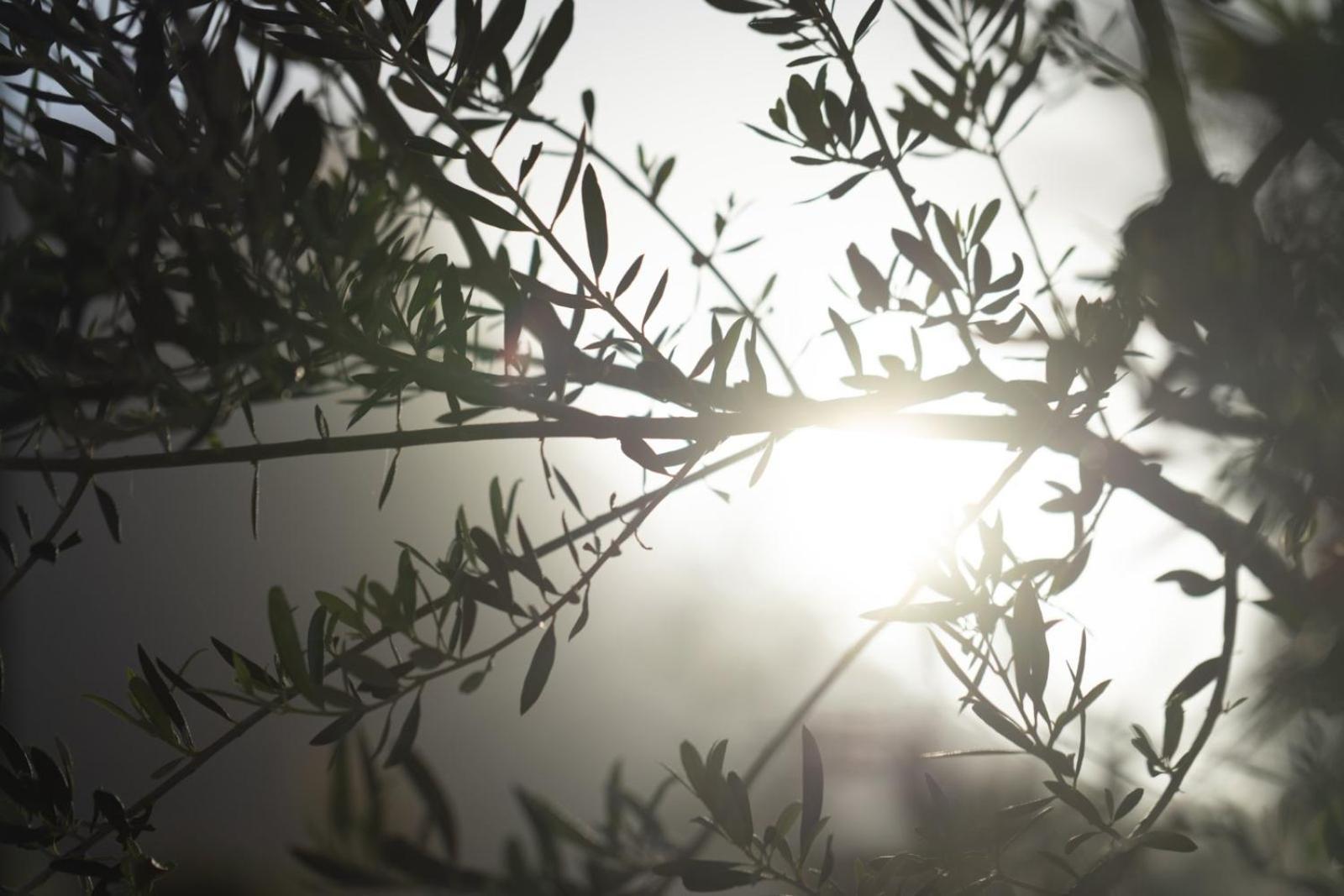 Terra E Pietre Εξοχική Κατοικία Με Πισίνα Areopoli Exteriér fotografie